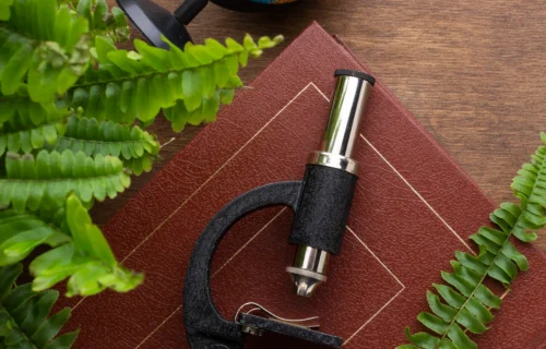 Study Geology in Germany