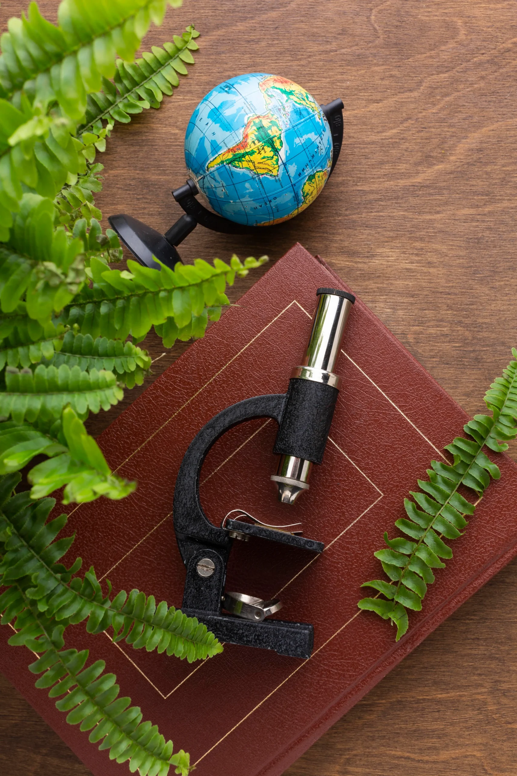 Study Geology in Germany